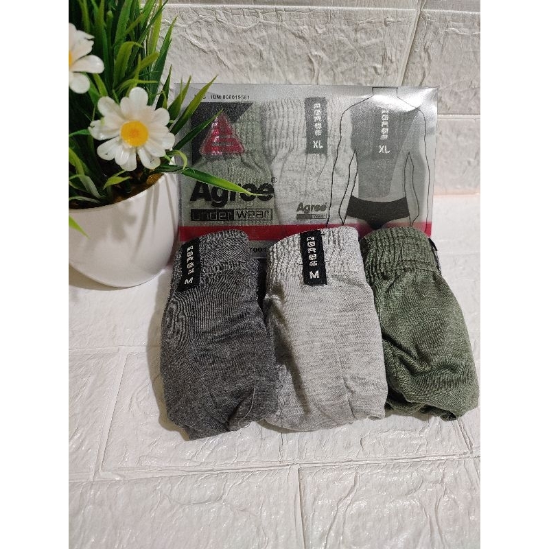 celana dalam agree pria dewasa