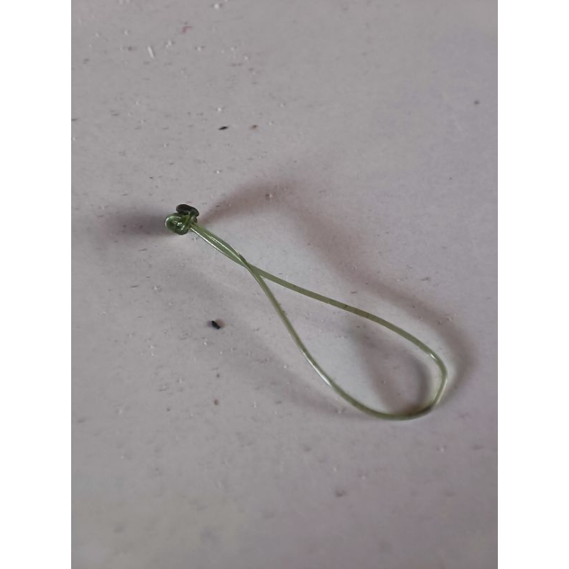 Toling pitu-pitu bugis / pitu pitu bugis 2cm