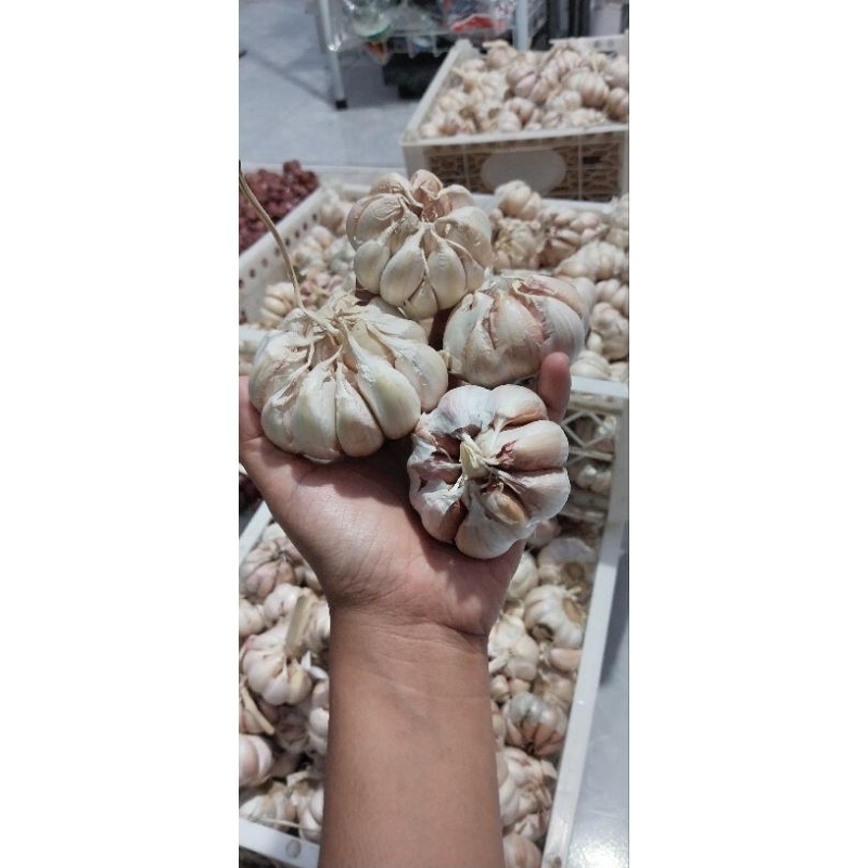 

BAWANG PUTIH 1KG