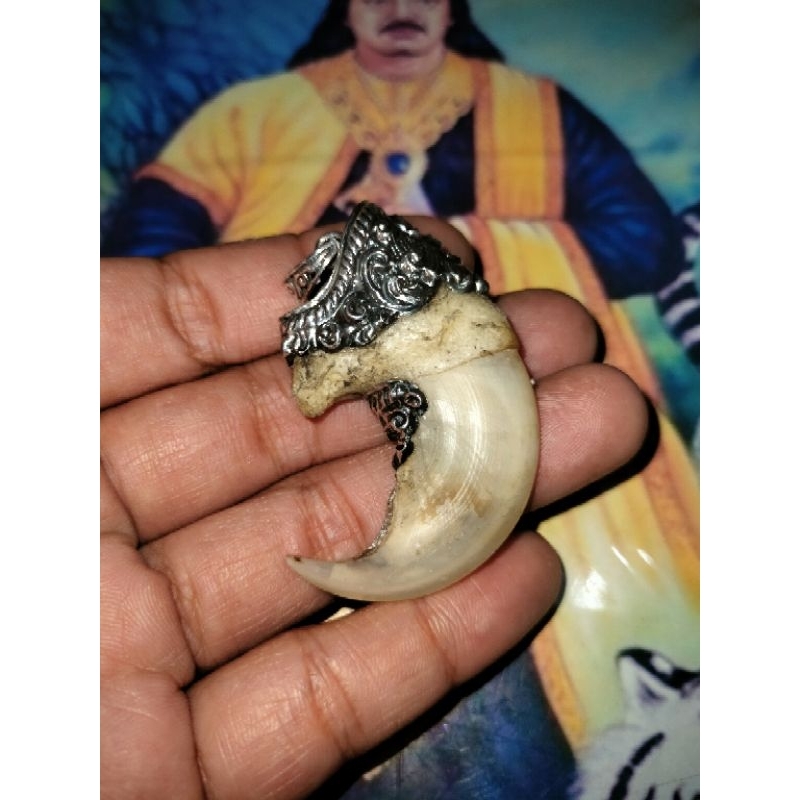 Liontin kuku hm Ngurak