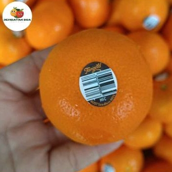 Jeruk Mandarin Afourer 1kg