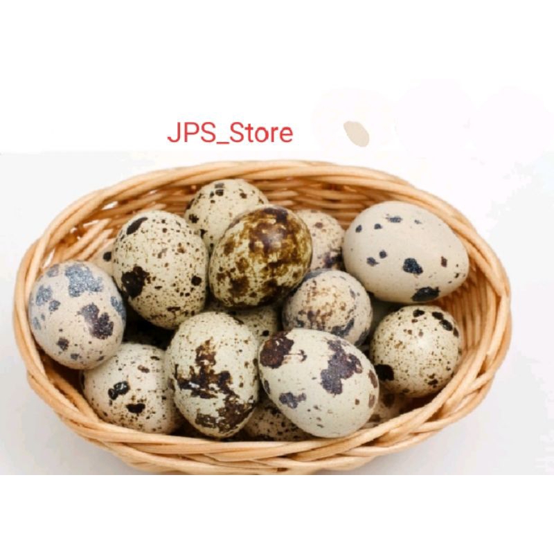 

Telur burung puyuh 20 butir