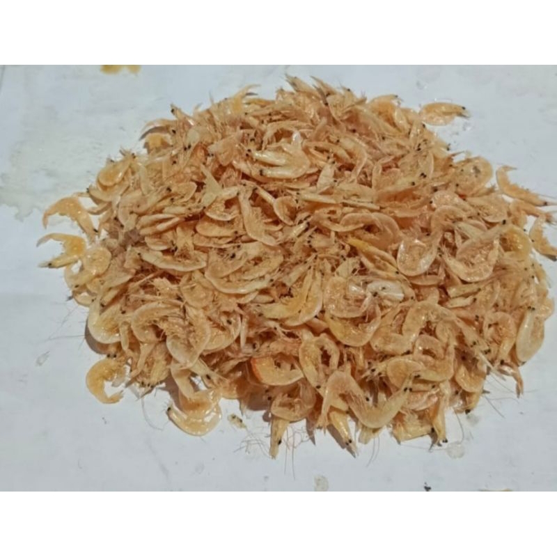 

IKAN ASIN REBON
