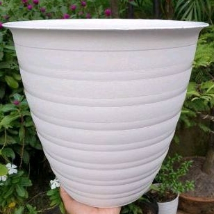 pot tawon 30cm