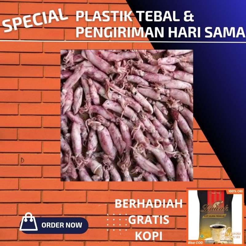 

cumi asin telor 100 gram fresh