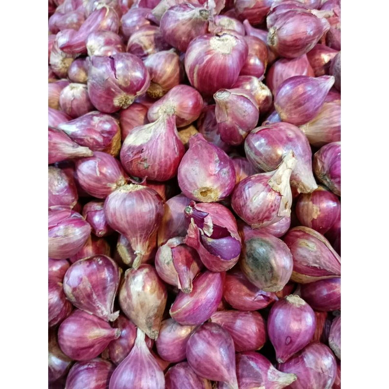 

BAWANG MERAH BREBES PILIHAN BESAR 1KG