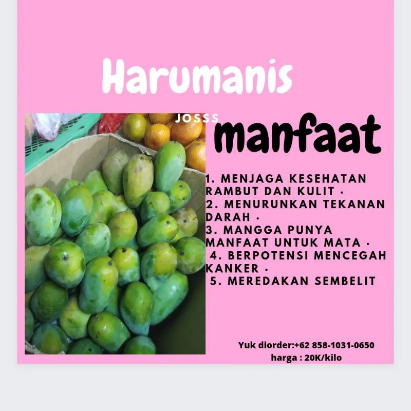 

Mangga harum manis