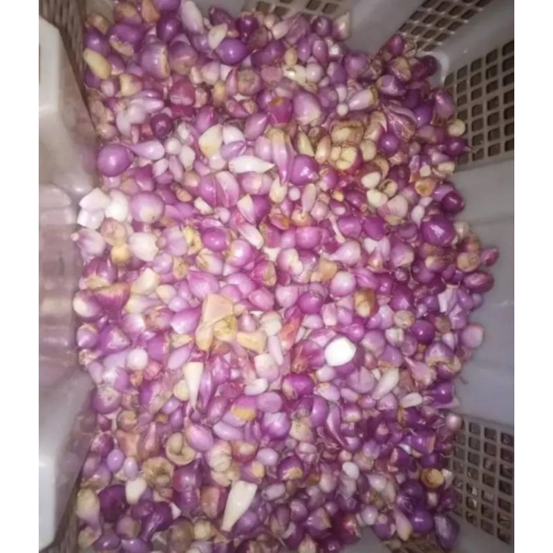 

BAWANG MERAH KUPAS BERKUALITAS 1KG