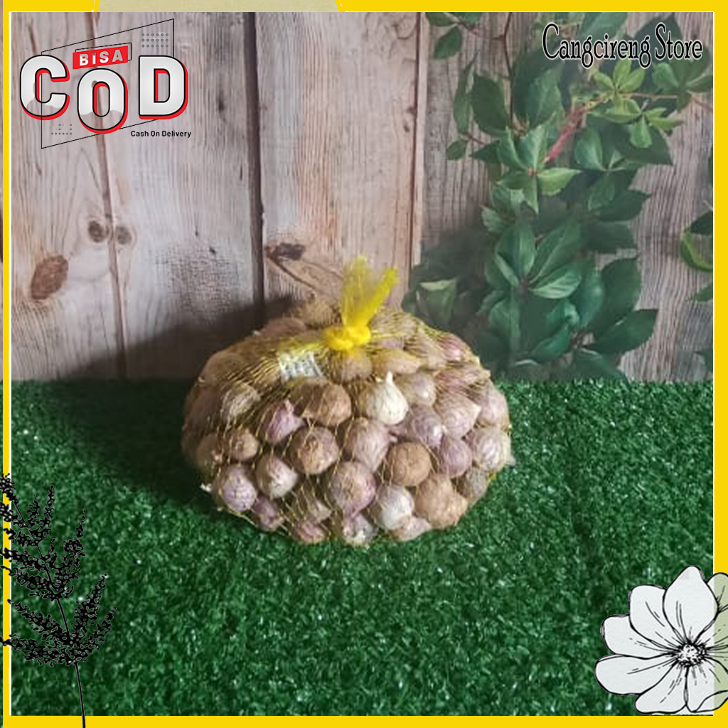 

Bawang Putih Tunggal Import Super 500 Gram