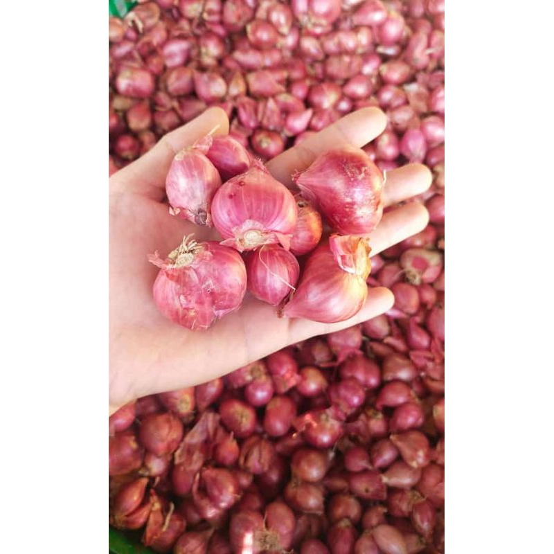 

Bawang Merah 1Kg
