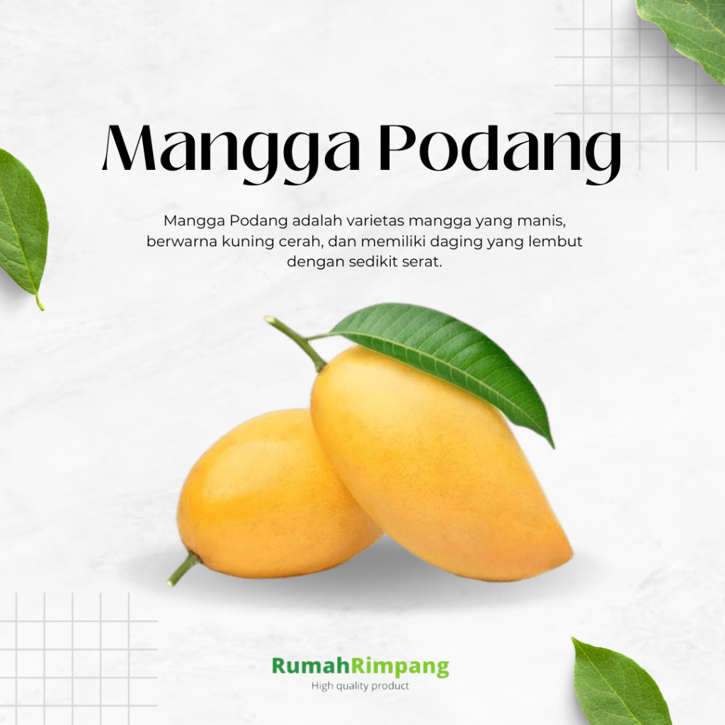 

[BISA INSTAN] JUAL BUAH FRESH - MANGGA PODANG 1 KG ISI 4-5 BUAH