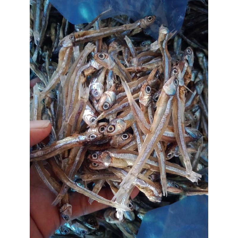 

ikan bada