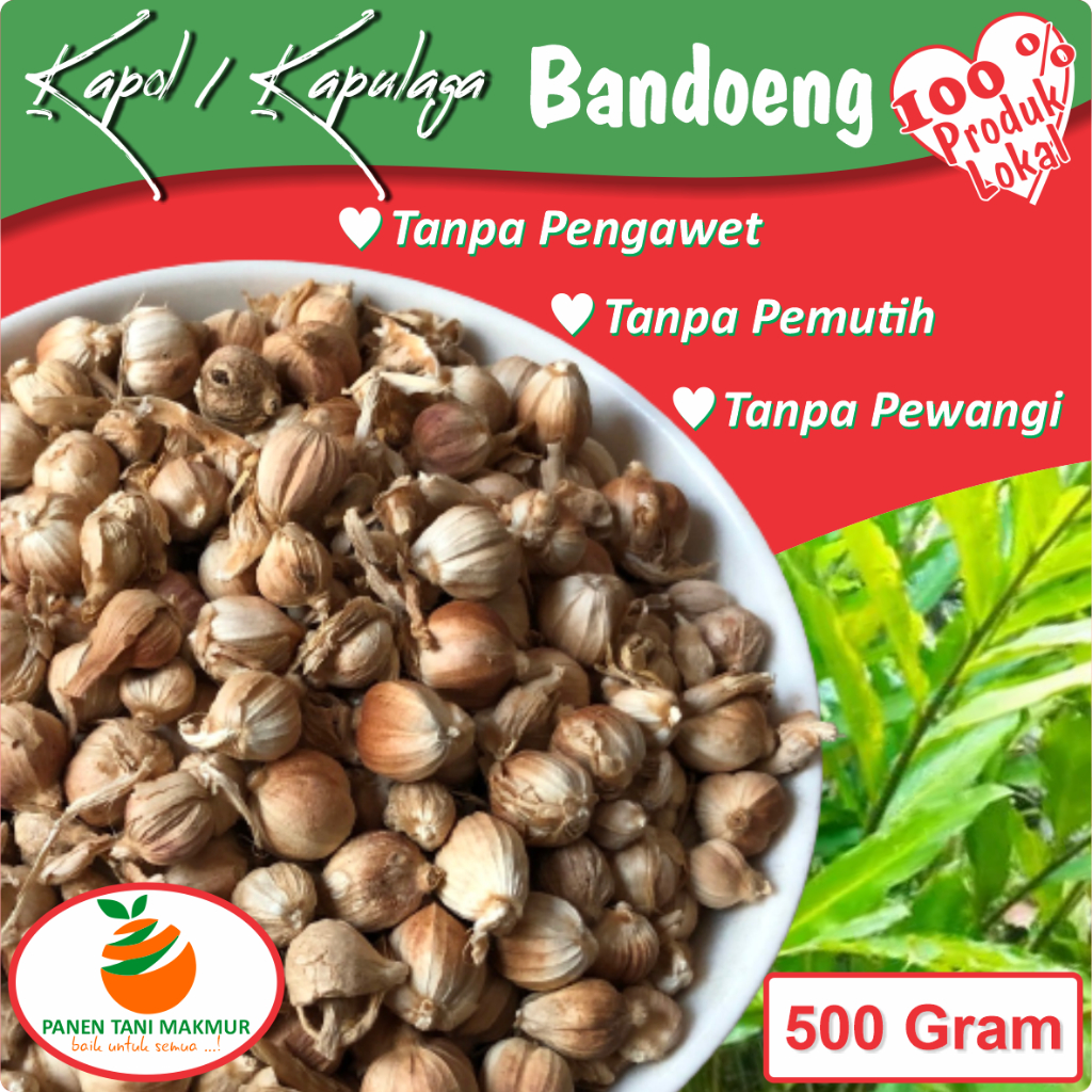 

Kapol Kapulaga Bumbu Kesehatan Panen Tani Makmur Bandoeng - Bandung 500 Gram