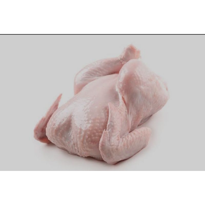 

Ayam utuh 1 ekor 1kg FRESH
