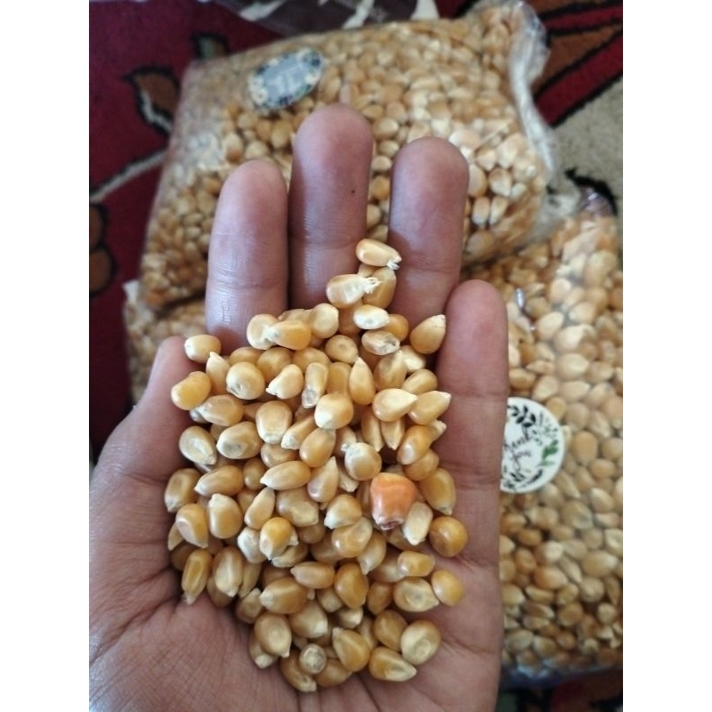 

JAGUNG POP CORN 500gr