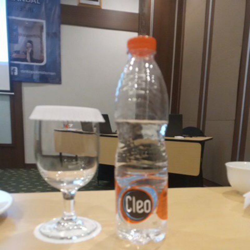 Air Minum Botol Cleo 550Ml