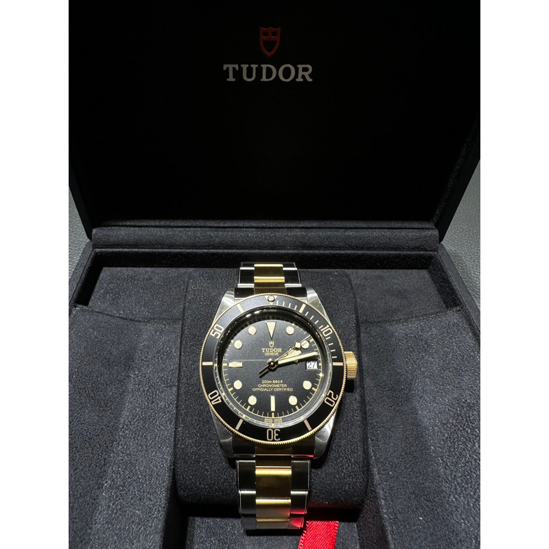 Tudor Black Bay S&G