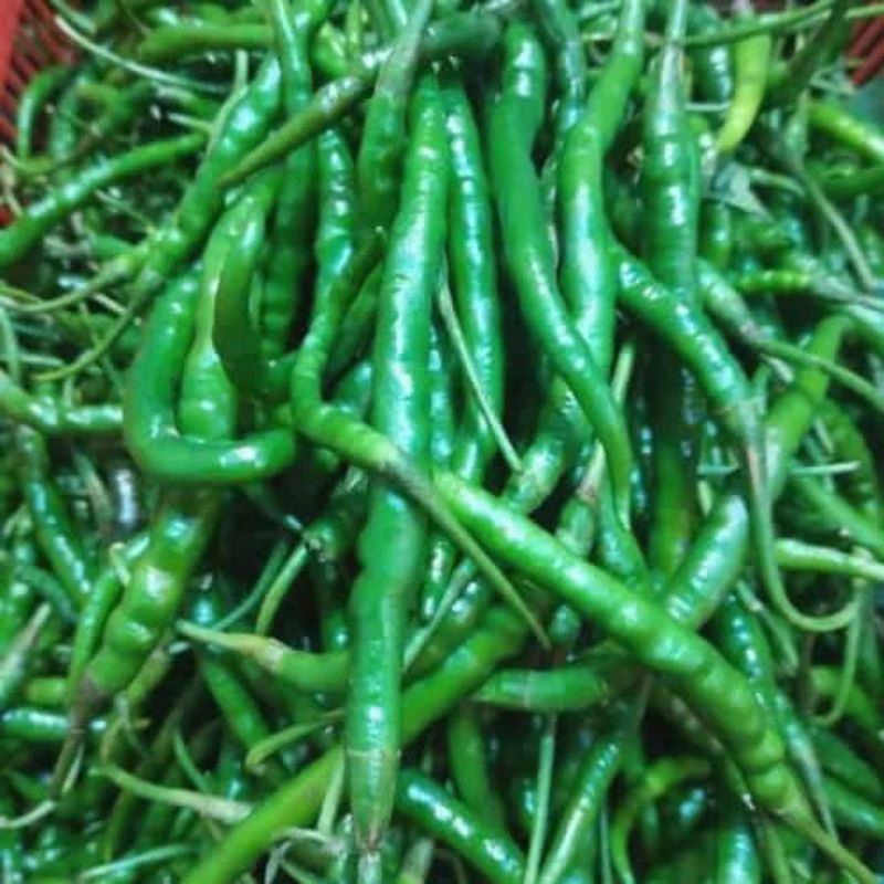 

cabe keriting hijau 500g