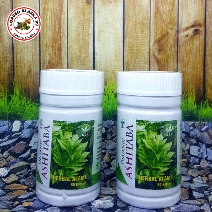 kapsul Daun ASHITABA Seledri EZA isi 60 kapsul halusken kulit - Natural Product