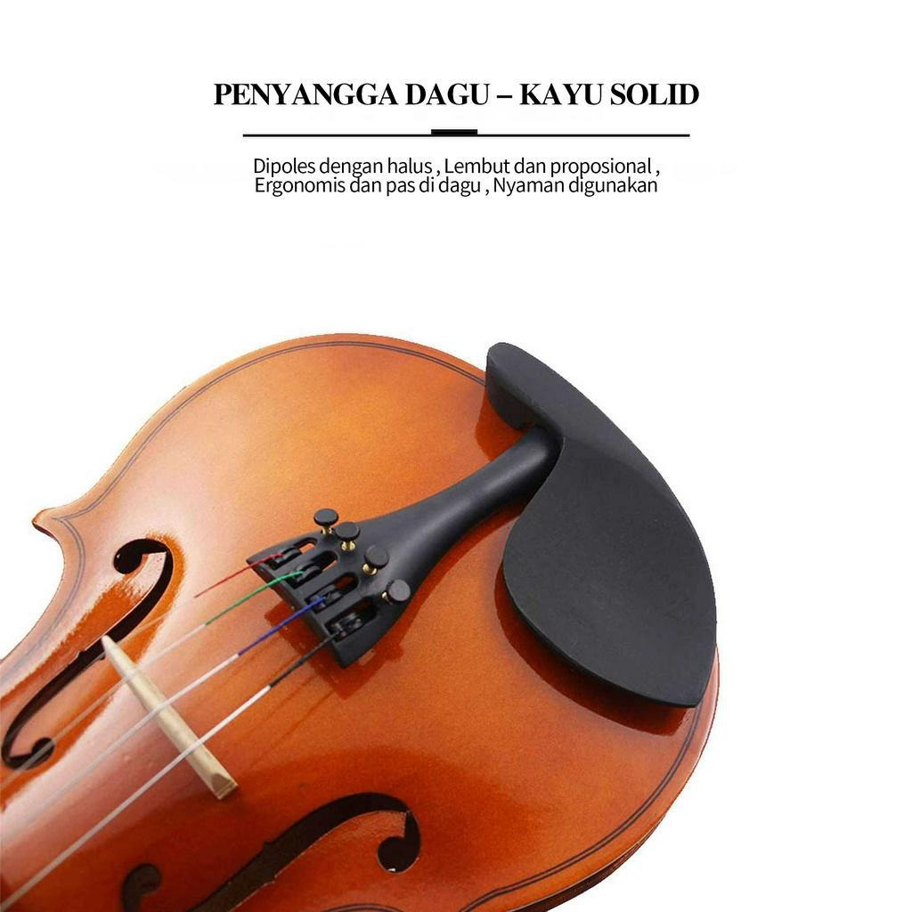 Import Biola Dluxe,violin 4/4 Biola Untuk Dewasa Remaja / alat musik gesek / biola anak / biola