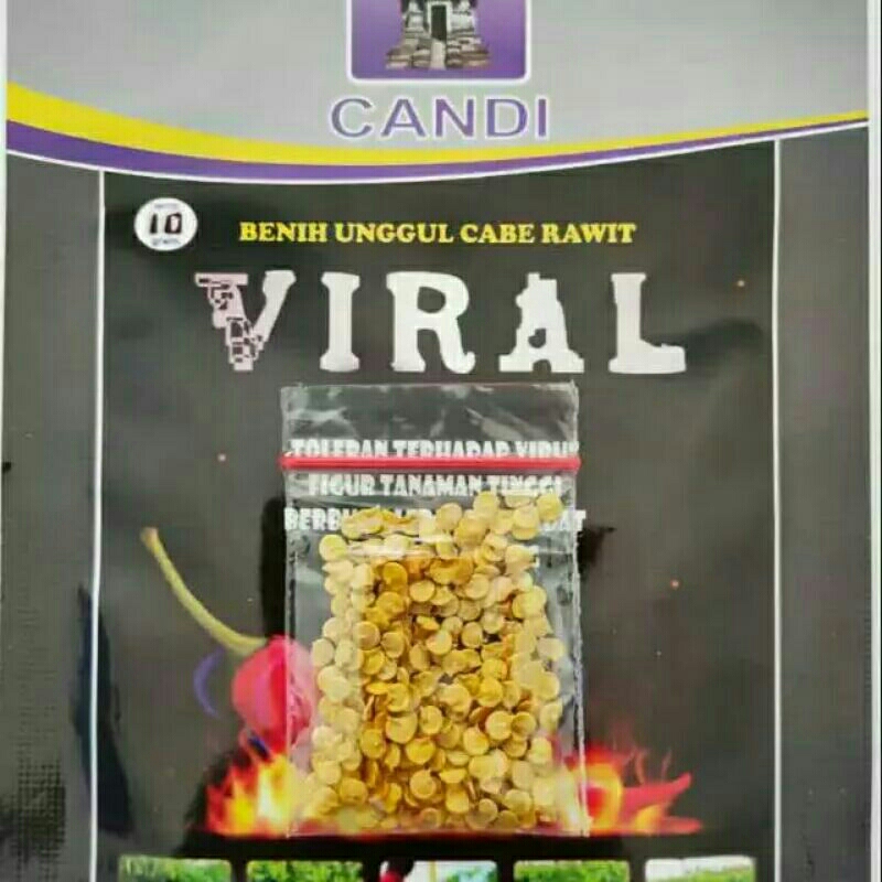100 Biji Cabe Viral | Benih Cabe Rawit Viral | Cabai Rawit | Cabai Setan