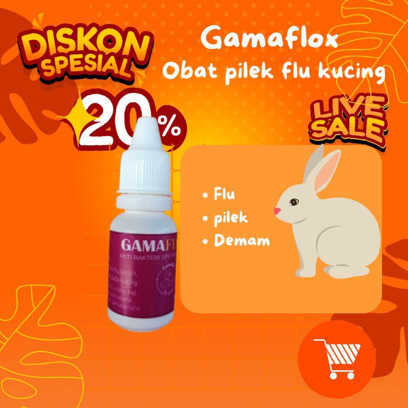 Obat flu,bersin,batuk,pada kucing