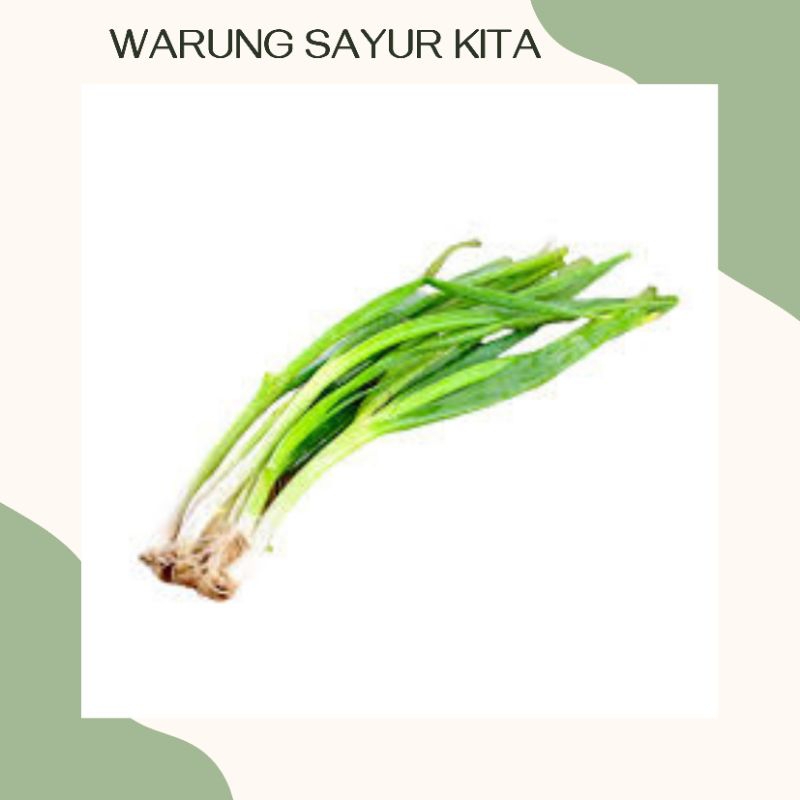 

Daun Bawang Seledri 100 Gram