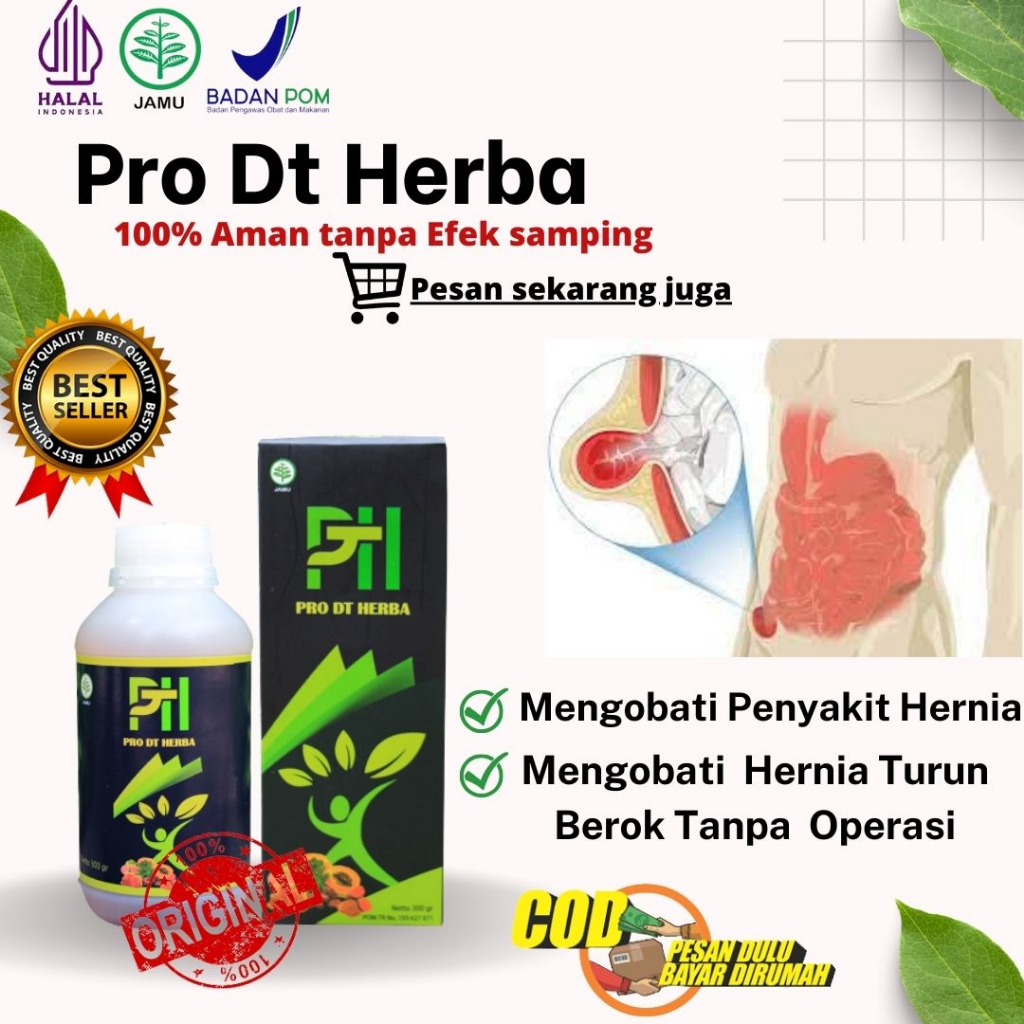 Obat Hernia Paling Ampuh , Obat Hernia Turun Berok Tanpa Operasi , Pro Dt  Herbal Alami BPOM