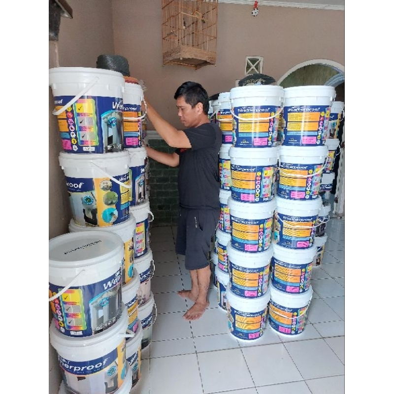 Cat tembok Melpaint Weatheproof original 20KG