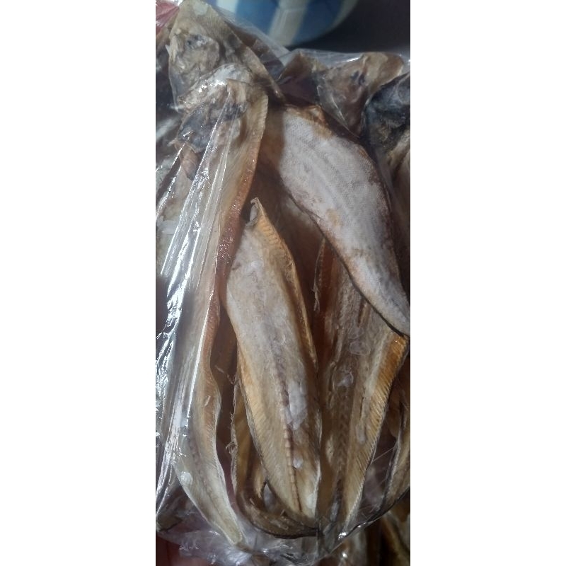 

IKAN ASIN LENDRA