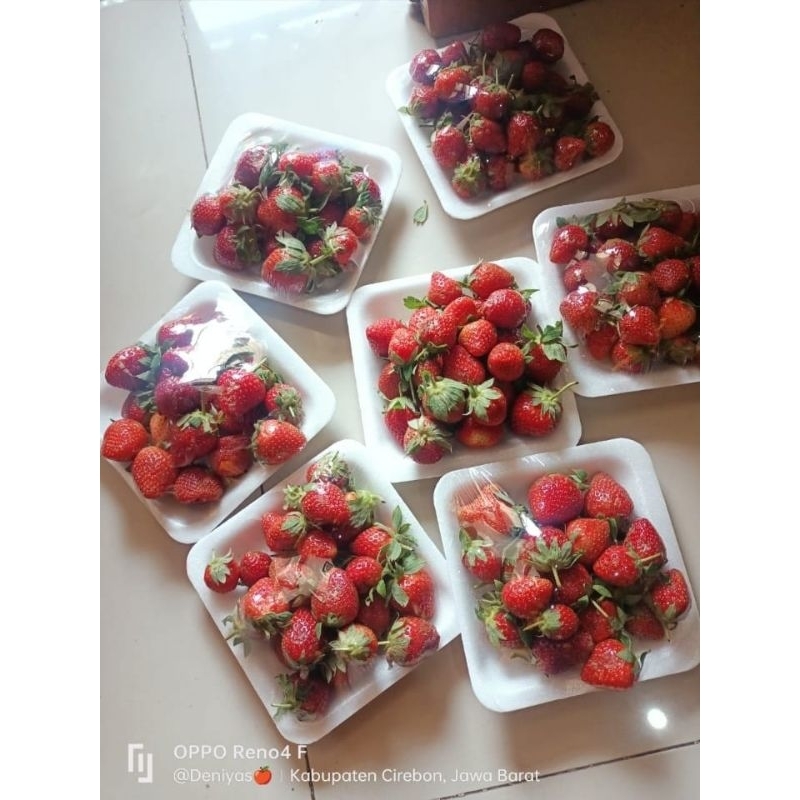 

strawberry pack