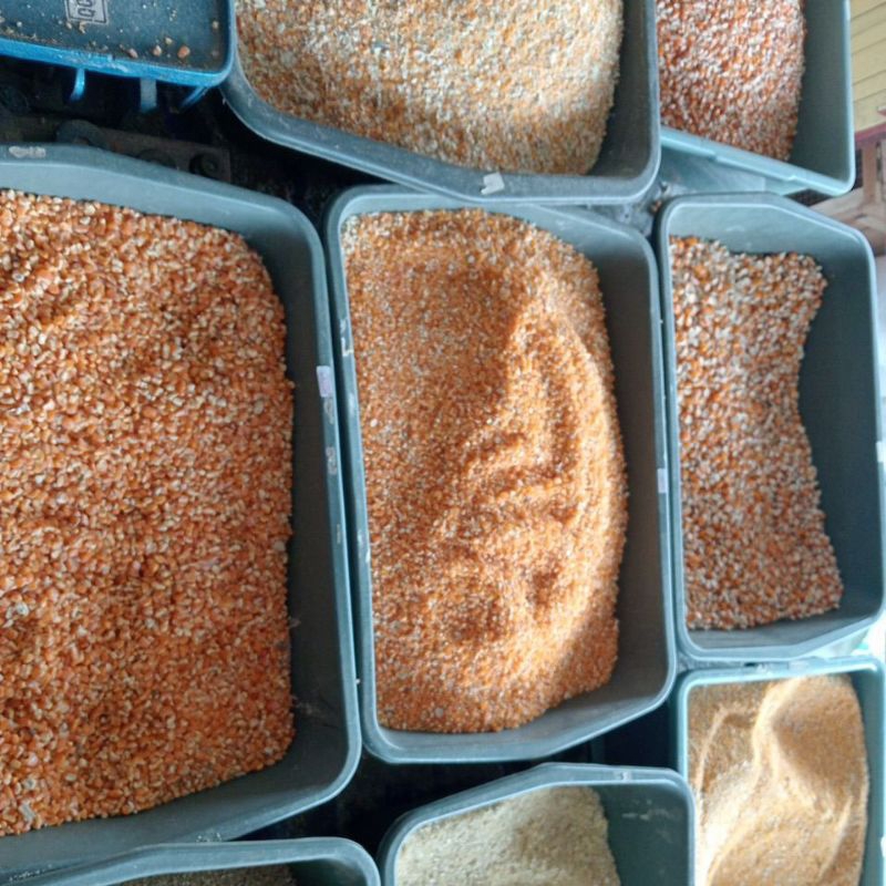 

Jagung ECER 100 gram (Jagung besar, preci, selip, menir jagung, dedak jagung dll)