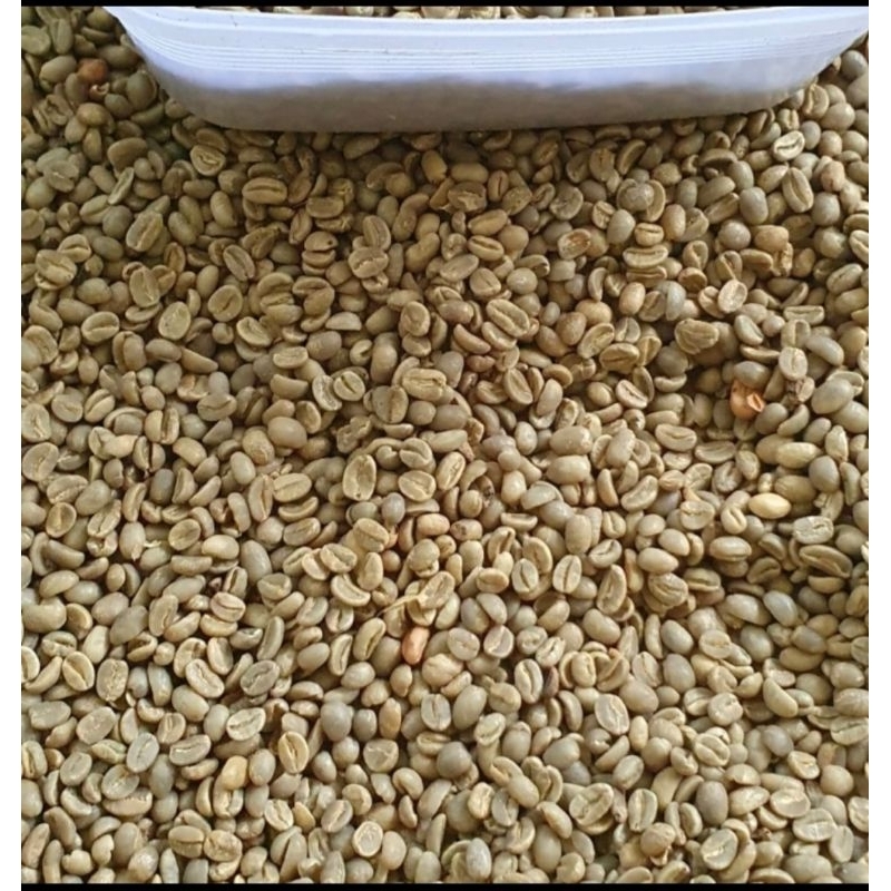 

Green bean biji kopi arabika g2 (Sumatera)