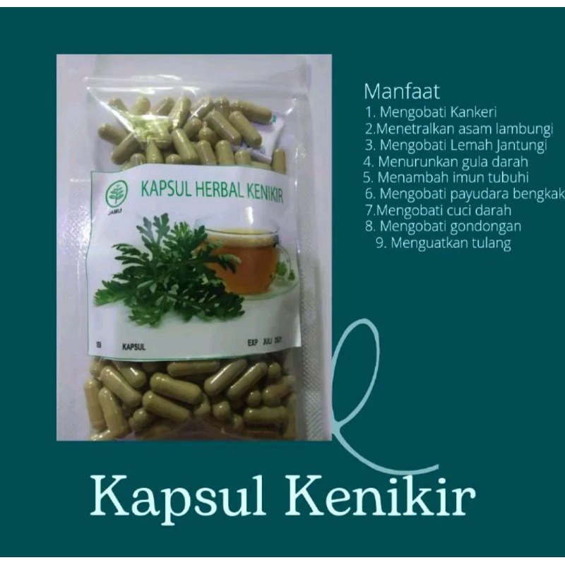 Kapsul Bubuk Daun kenikir curah isi 100 kapsul obat kanker murah