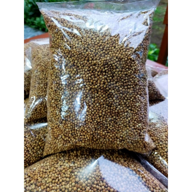 

Ketumbar hitam siap pakai