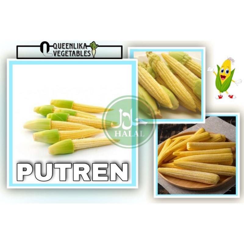 

PUTREN/JAGUNG MUDA/JANTEN 500GRM