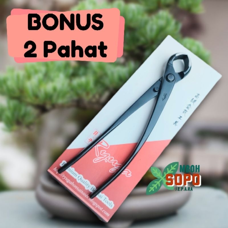 Alat Bonsai, Catok Cembung Ryuga Carbon ORIGINAL, 21 cm RC 08