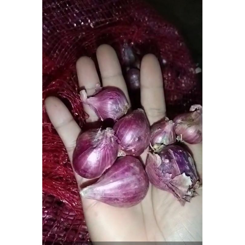 

Bawang merah