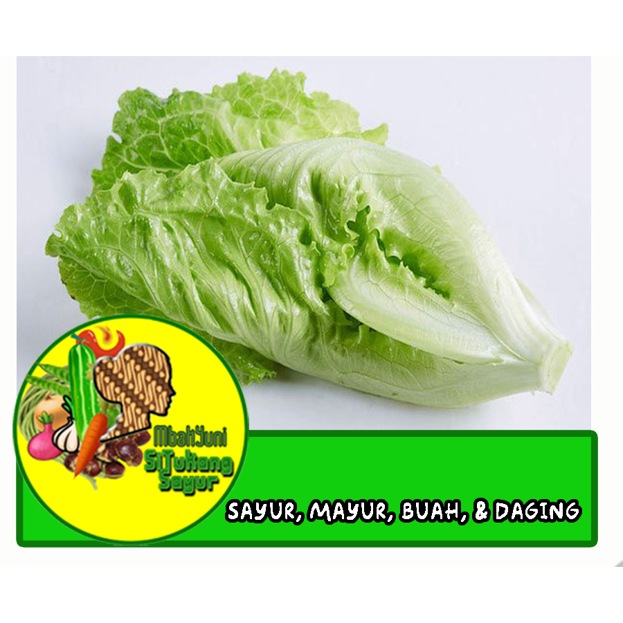 

Daun Selada 500gram