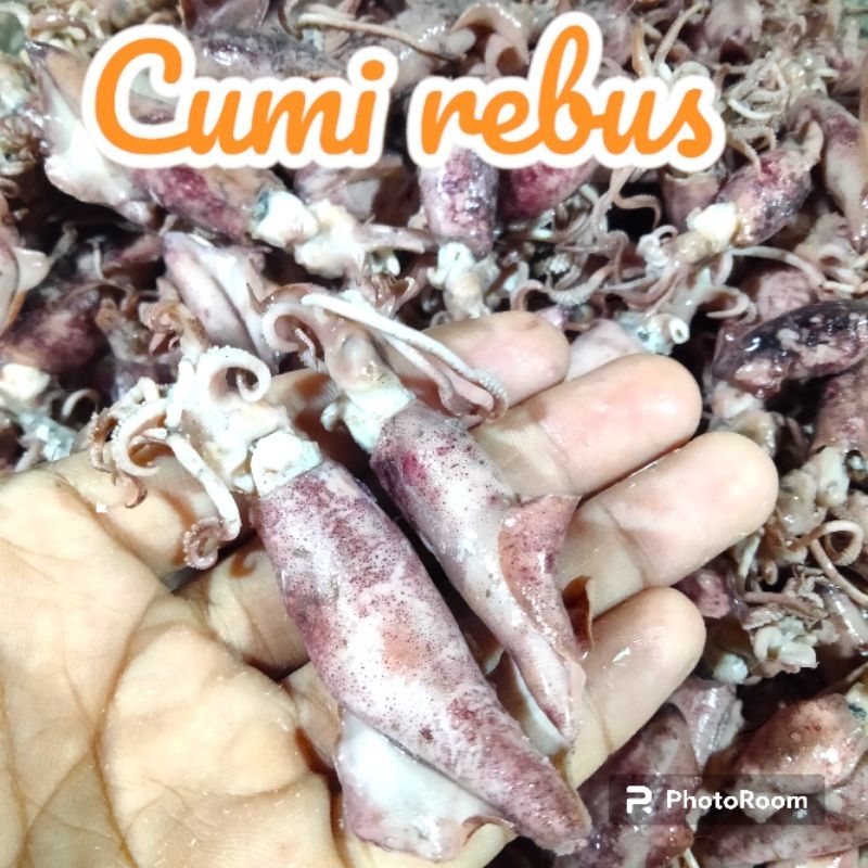

IKAN ASIN CUMI REBUS 1KG TIDAK TERLALU ASIN