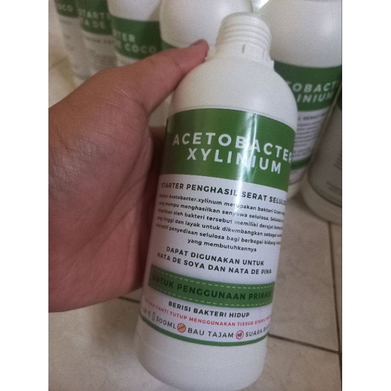 

Korzaln (Free Konsul) Starter/Bibit Premium Nata De Coco / Acetobater Xylinium Hasil Tebal