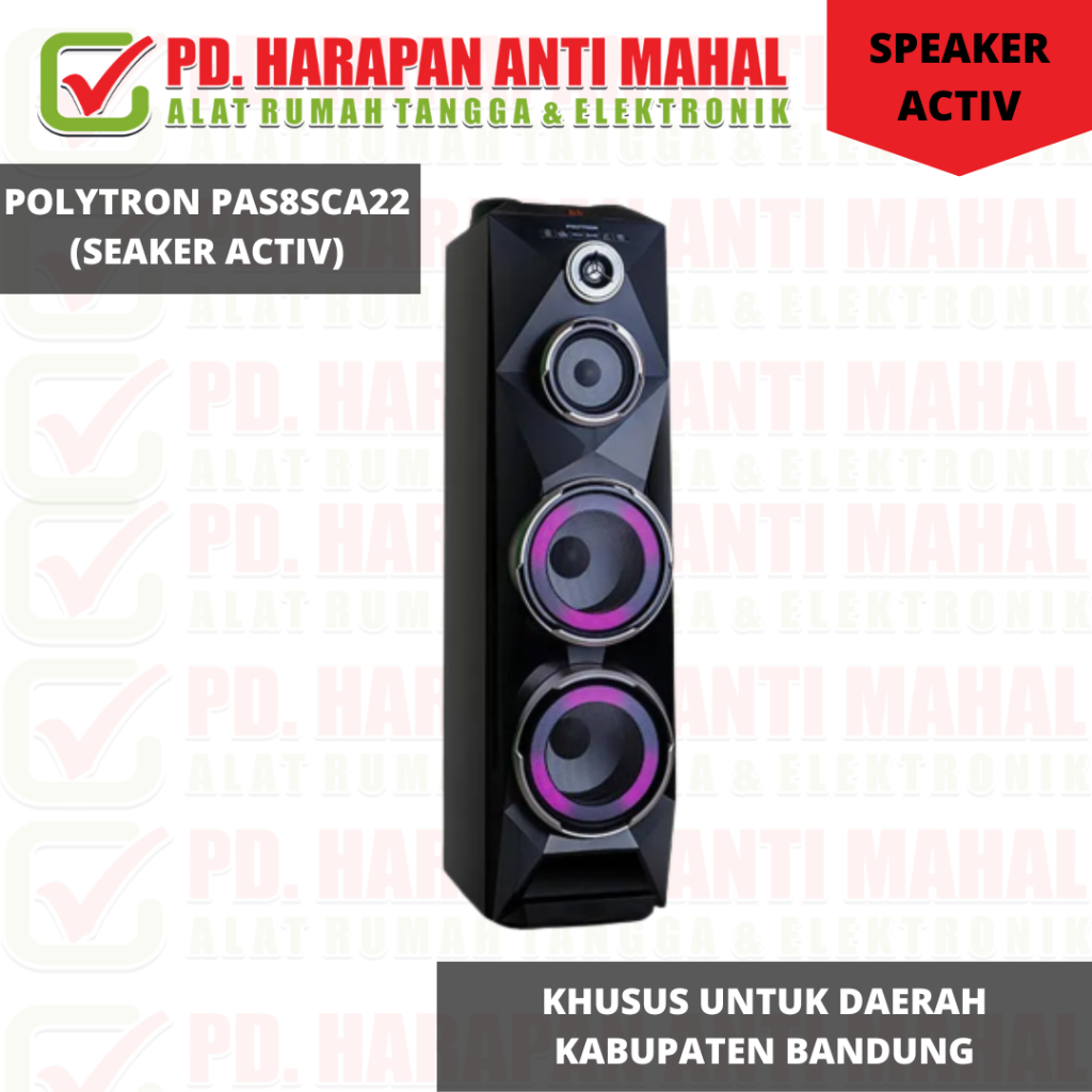 POLYTRON PAS8SCA22 (SEAKER ACTIV)/SPEAKER AKTIF POLYTRON PAS-8SCA22/SPEAKER AKTIF POLYTRON PAS 8SCA2