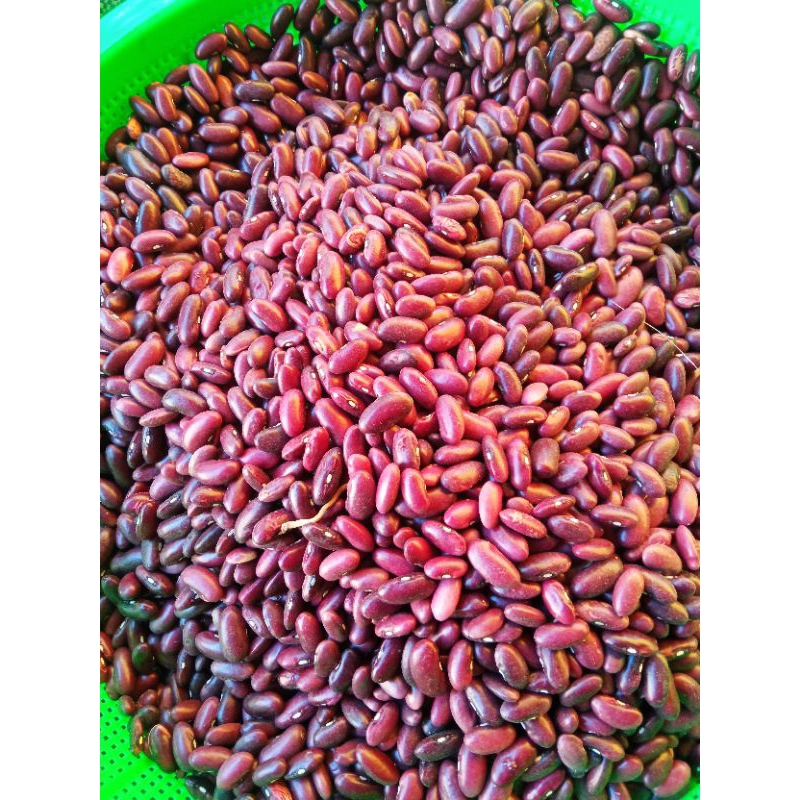 

kacang merah/campe 1kg