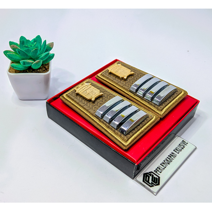 PANGKAT PNS PALEMBANG 2D = PANGKAT PALEMBANG 2D = PANGKAT PNS PALEMBANG GOLONGAN 2D = PANGKAT ASN PA