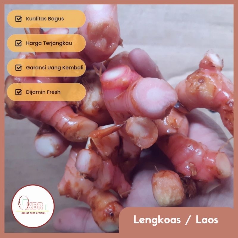 

Lengkoas Kupas 250gram/Lengkoas Kupas/Lengkos Kupas Bersih