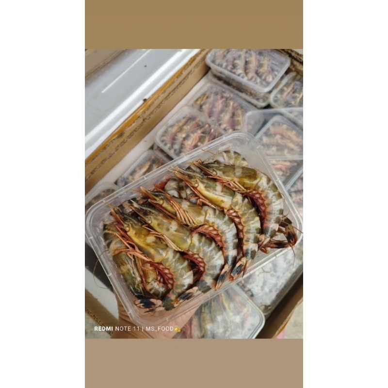 

udang black tiger prawn/udang windu/udang laut/udang frozen 500gram/udang size 40-60