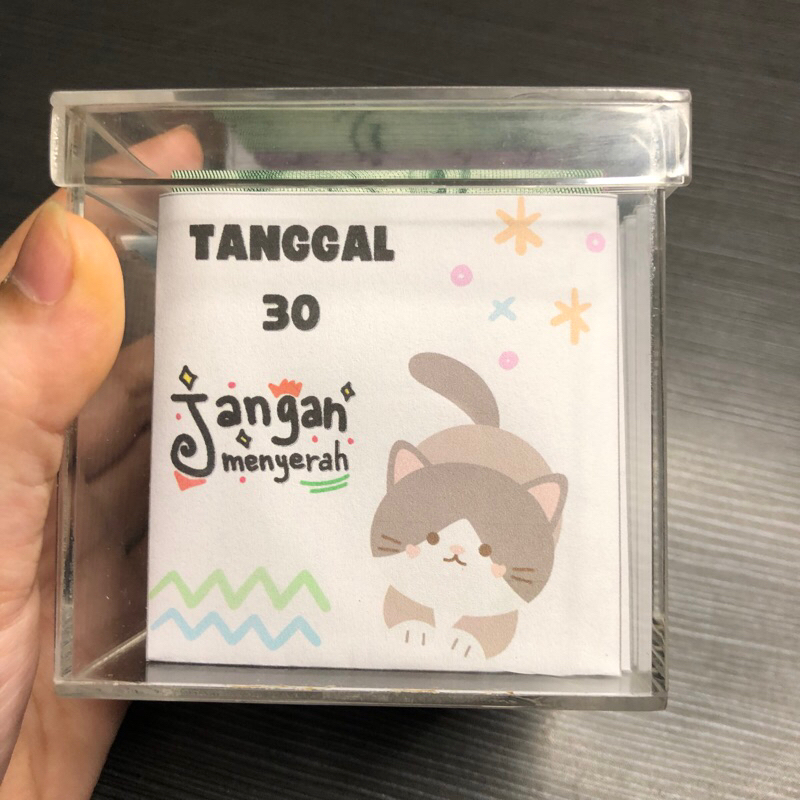 

[PRE ORDER 5 HARI] tantangan nabung 30 amplop - Skinada amplop