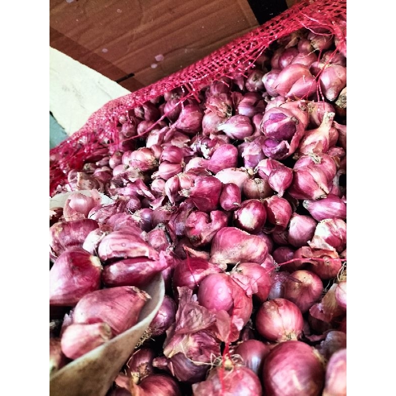 

Bawang merah brebes