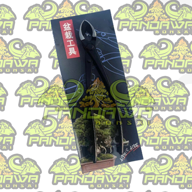 PANDAWA BONSAI-ALAT BONSAI catok bonsai Cembung import 21cm