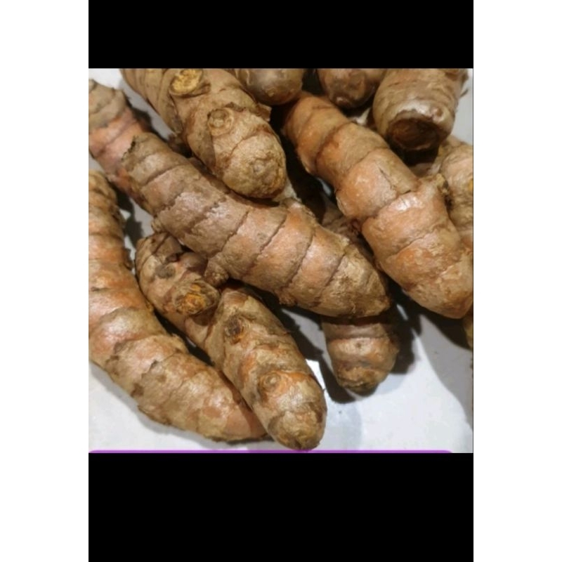 

Kunyit/kunir segar 1kg.